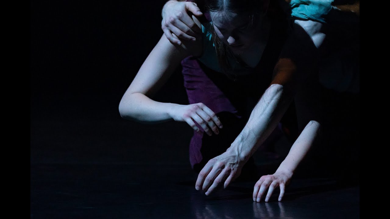 Trailer: Tanzplattform 2025