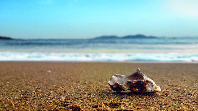 Souvenir #2: Souvenir en rose